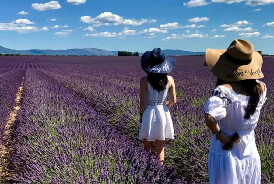 Tailor-made private journey through the lavender fields of Provence